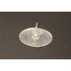 3006 Liberty Umbrella/Mushroom Valve (DSV and BOV) (35mm Dia)