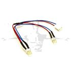 rEVO isolated sensor splitter