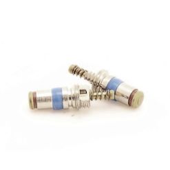 Schraider valves for inflator hoses (bag of 10)