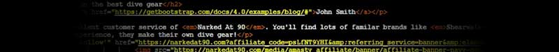 Pasted HTML
